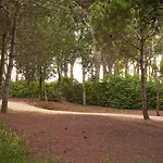 La Pineta